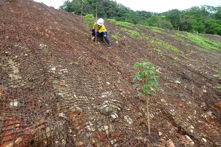 Pembelajaran konservasi dengan cocomesh