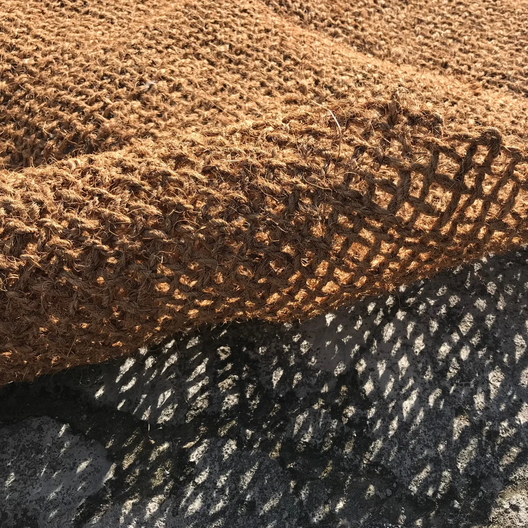 Simulasi Lingkungan Berbasis Cocomesh untuk Pelajar