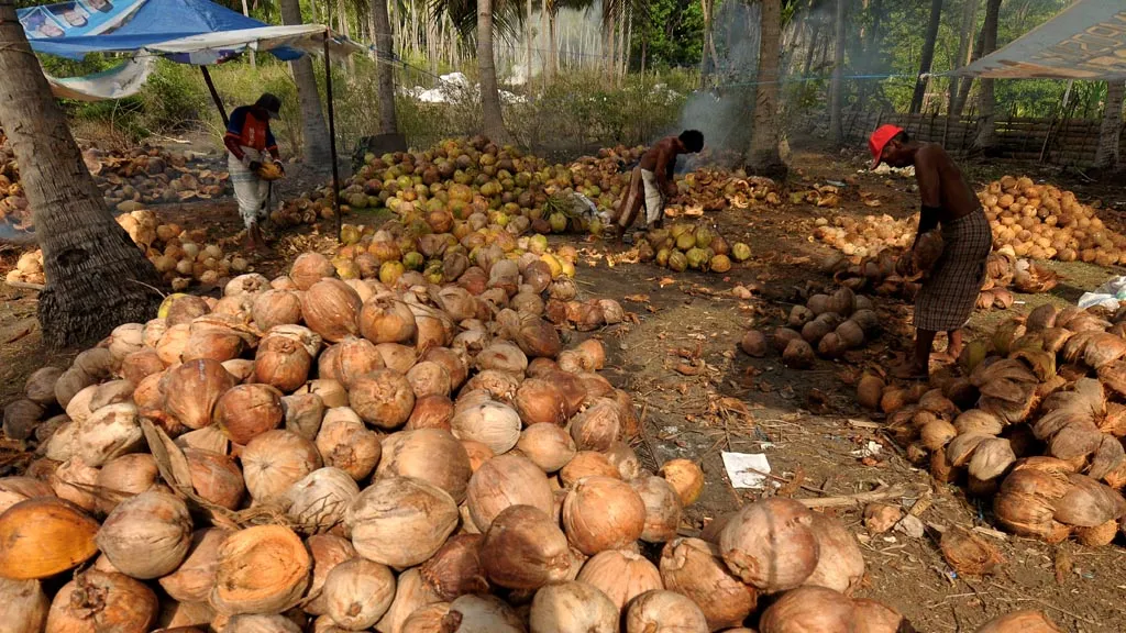 Sabut kelapa sebagai bahan baku industri