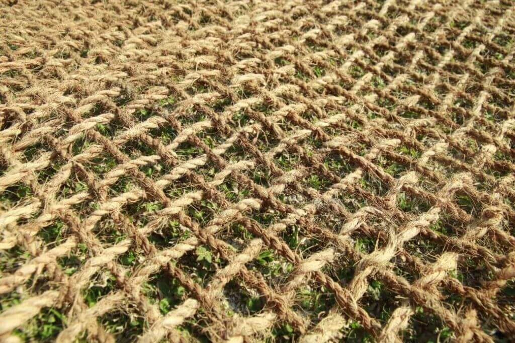 Cocomesh untuk Simulasi Manajemen Sumber Daya Alam